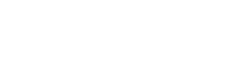 stranahans logo